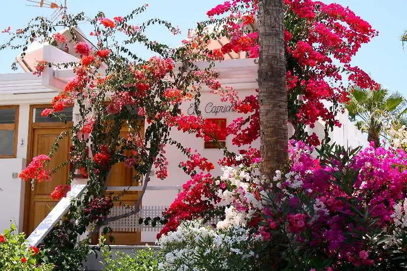 Apartamentos El Capricho Maspalomas  0*, Maspalomas (Gran Canaria)