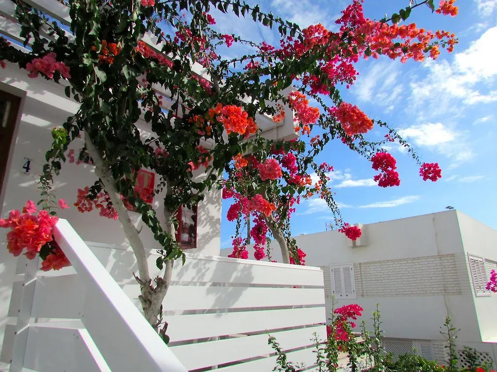 Lejlighed Apartamentos El Capricho Maspalomas