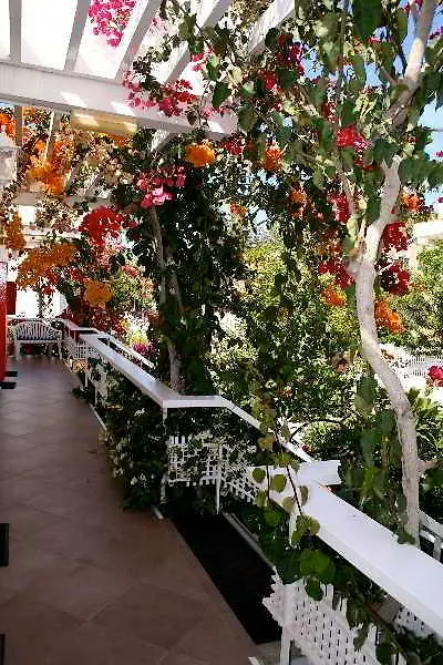 Apartamentos El Capricho Maspalomas